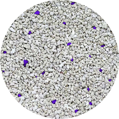 cay-lavender.png